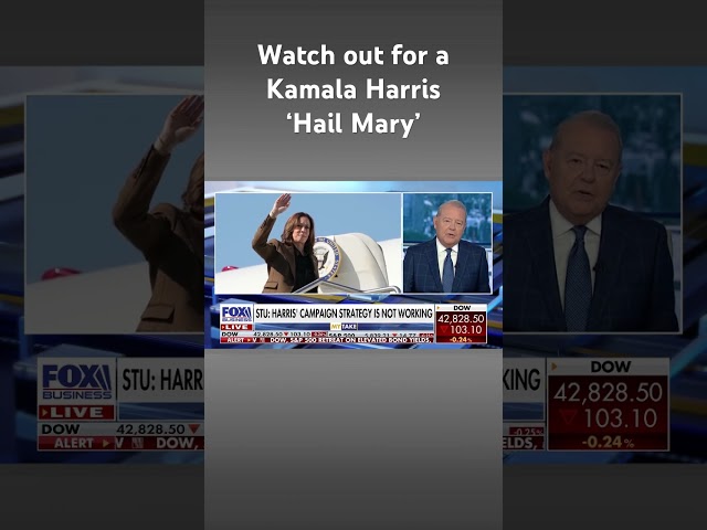 ⁣Varney: Trump is chipping away at Harris’ constituents #shorts