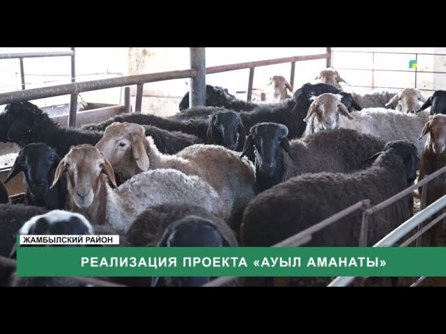 ⁣Реализация проекта «Ауыл аманаты»