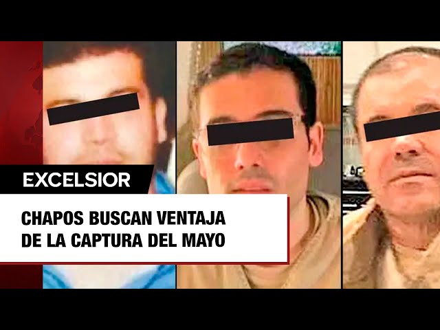 ⁣Chapos buscan ventaja de la captura del Mayo