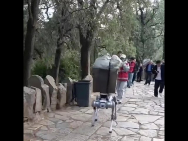 ⁣Robotic dog carries heavy garbage on Mount Tai