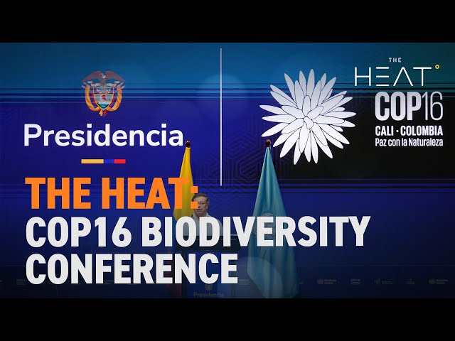 ⁣The Heat: UN COP16 Biodiversity Conference