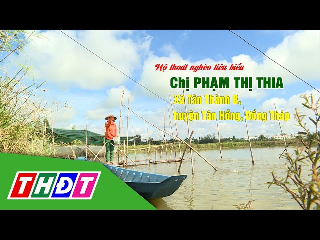 ⁣Hộ thoát nghèo tiêu biểu Chị Phạm Thị Thia (huyện Tân Hồng) | Vượt dốc - 22/10/2024 | THDT