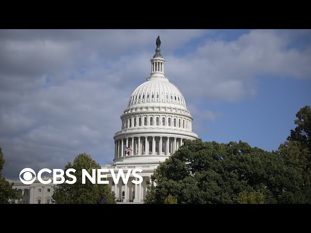 ⁣Democrats eye House majority, FBI probing alleged Israel leak, more | America Decides