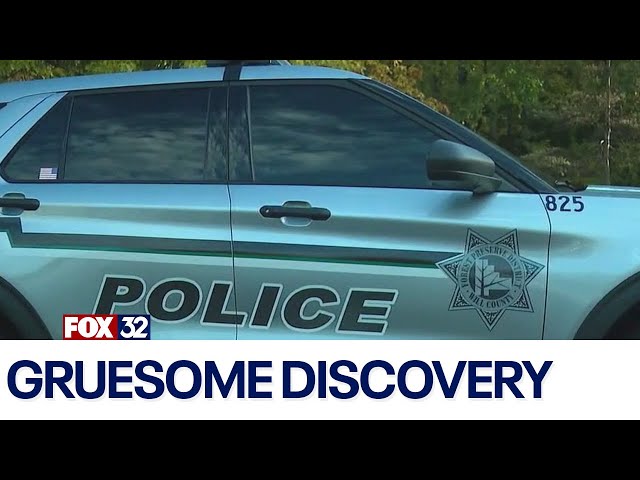 ⁣Suspected human skull found in Will County