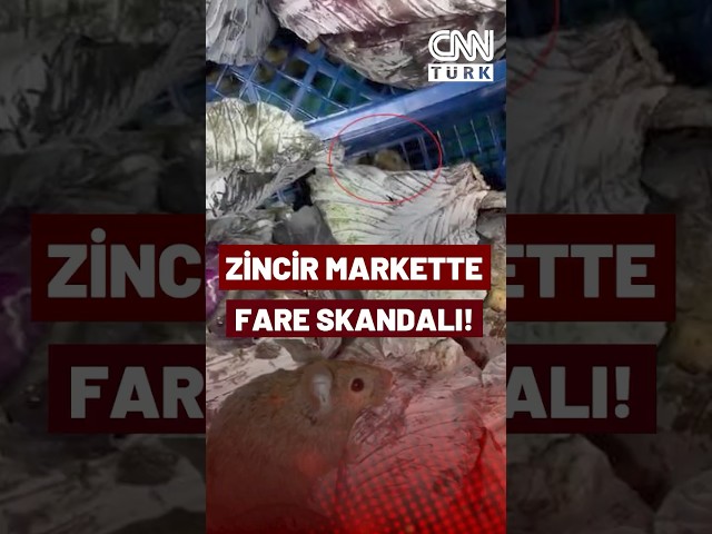 ⁣Zincir Markete Fare Skandalı! Meyve-Sebze Reyonundaki Fareler Görenleri Şoke Etti!