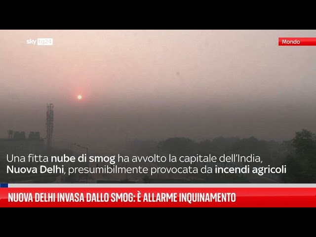 ⁣Nuova Delhi avvolta dallo smog