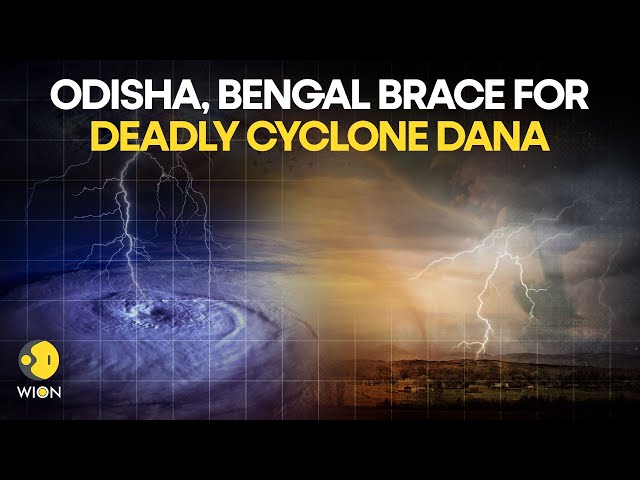 ⁣Cyclone Dana LIVE: Dana Intensifies Into Cyclonic Storm, Bengal and Odisha On High Alert | WION Live