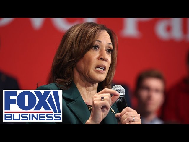 ⁣Democrats are reportedly panicking over Harris as election nears