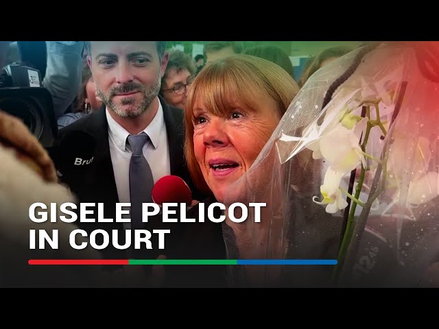 ⁣Gisele Pelicot applauded at court after she testifies in mass abuse trial