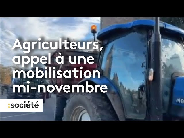 ⁣Agriculteurs, appel à une mobilisation mi-novembre