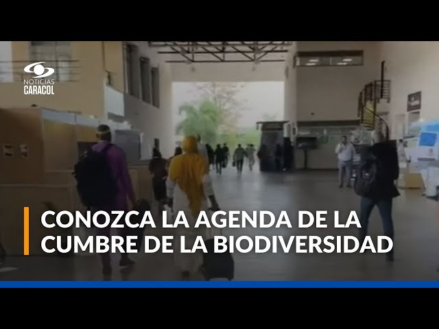 ⁣Así avanza el tercer día de la COP16 en Cali