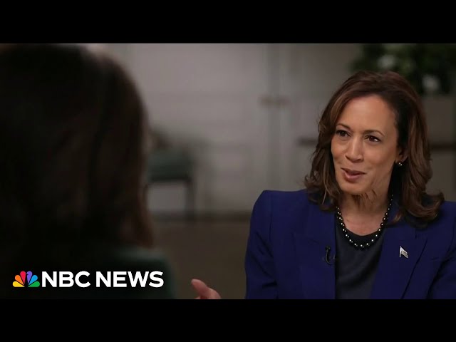 ⁣Highlights and analysis from Kamala Harris’ NBC News interview