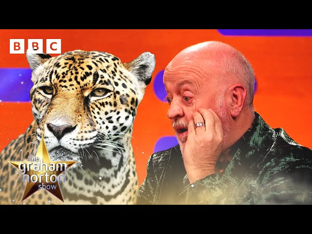 ⁣When animal safety advice goes WRONG... | The Graham Norton Show - BBC