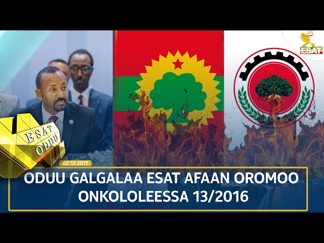 ⁣Ethiopia - ESAT ODUU 23 OCTOBER 2024