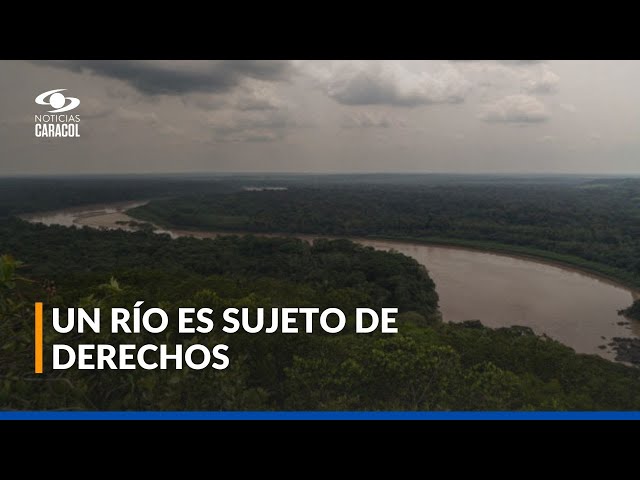 ⁣Derechos ambientales: ¿qué tipo de leyes protegen a la naturaleza?