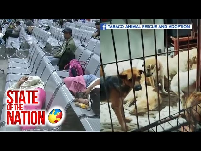 ⁣State of the Nation: (Part 2 & 3) #BagyongKristine: Stranded sa pantalan; 'No pets left beh