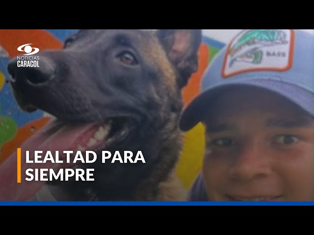 ⁣Perrito sumido en tristeza espera a su amo, un policía que perdió la vida en Norte de Santander