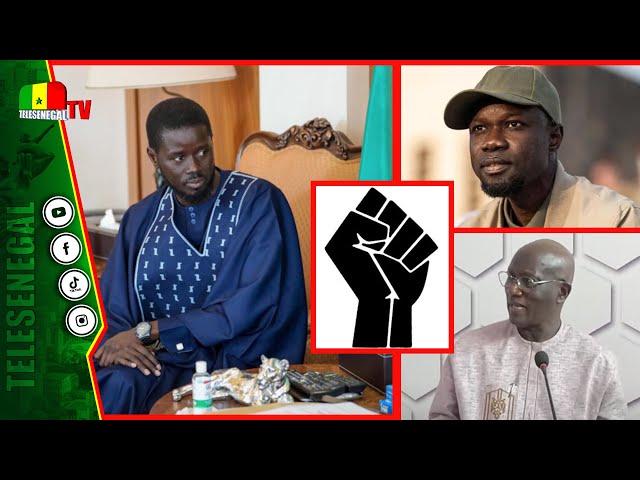 ⁣Panafricanisme: Serigne Mbacke Ndiaye tacle SONKO et Diomaye" ils n'y croient pas car...&q