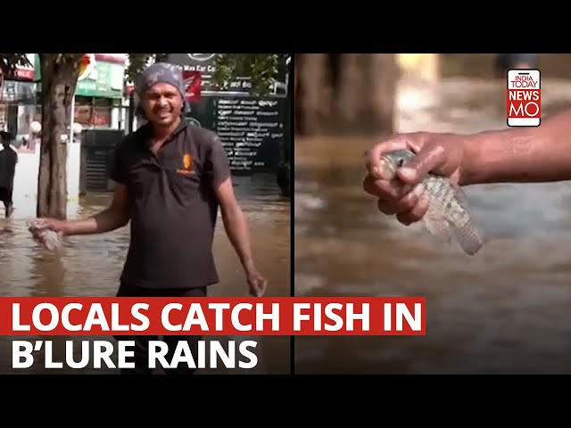 ⁣Building Collapses, Flooded Roads, This Is How Rain Wreaks Havoc In India's IT Capital, Bengalu