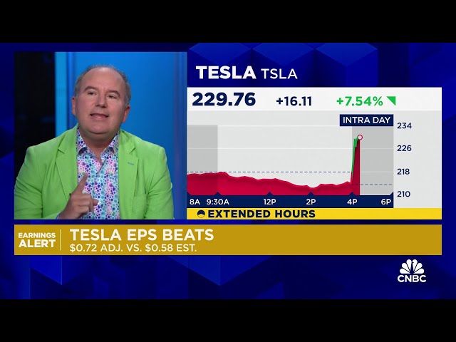 ⁣The story with Tesla earnings is gross margins, says Wedbush's Dan Ives