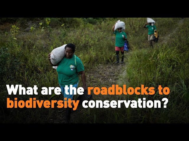 ⁣What are the roadblocks to biodiversity conservation?