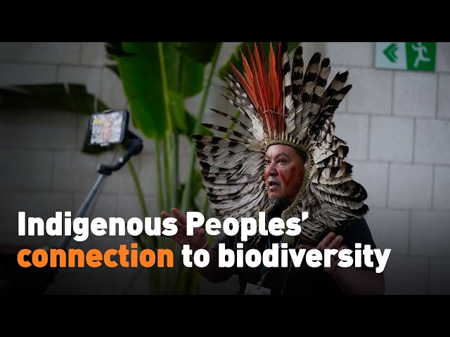 ⁣Indigenous Peoples’ connection to biodiversity