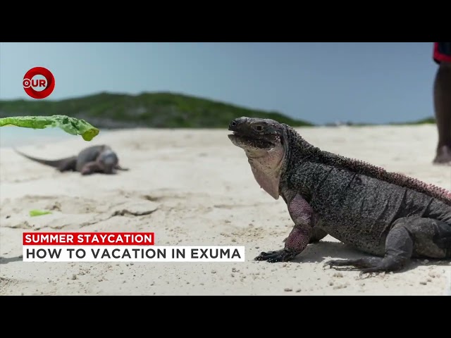 ⁣How To Vacation In Exuma