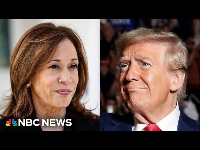 ⁣Harris' closing argument will focus on 'contrast' between her and Trump: Harris campa