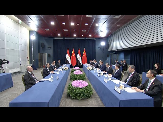 ⁣Xi Jinping meets Egyptian president on sidelines of BRICS Summit