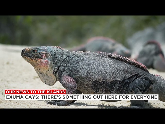 ⁣Exuma Cays: There’s Something Out Here for Everybody