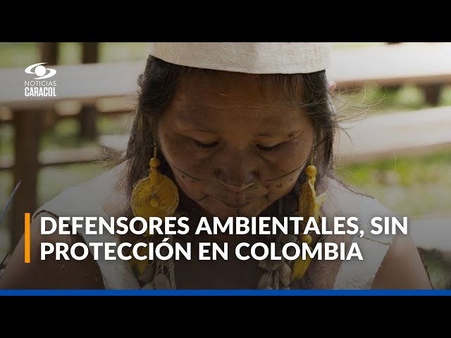 ⁣Defender los ecosistemas y la vida animal, una labor difícil y peligrosa en Colombia