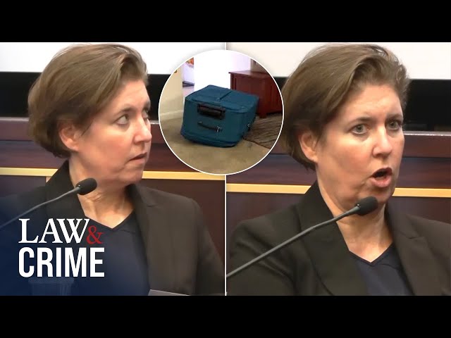 ⁣12 Bizarre Moments of Accused Suitcase Killer Sarah Boone's Testimony: ‘It Was Funny’