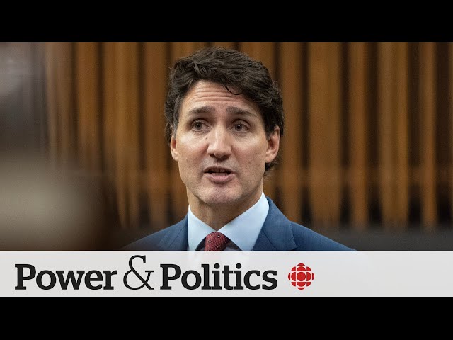 ⁣At least 24 Liberal MPs tell Trudeau to step aside in face-to-face meeting | Power & Politics