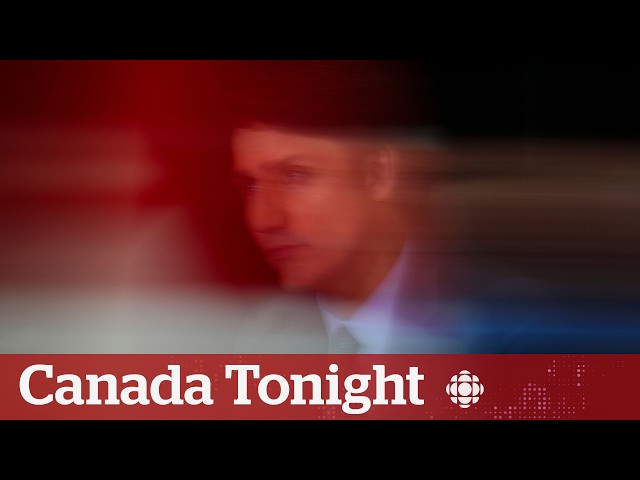 ⁣Do Trudeau’s MPs see a fighter or narcissist? Both, says political reporter | Canada Tonight