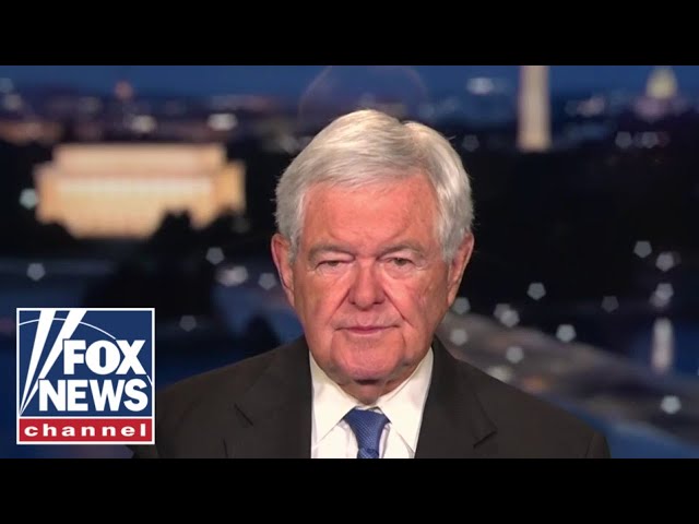 ⁣Newt Gingrich dismisses Kamala Harris' Trump attacks as 'acts of desperation'