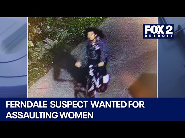 ⁣Ferndale police looking to identify suspect on bike groping women