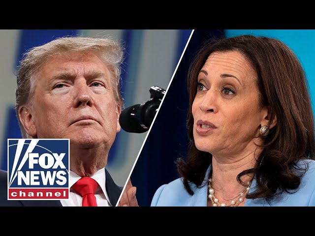 ⁣Trump leads Harris on immigration by 15 points: Poll