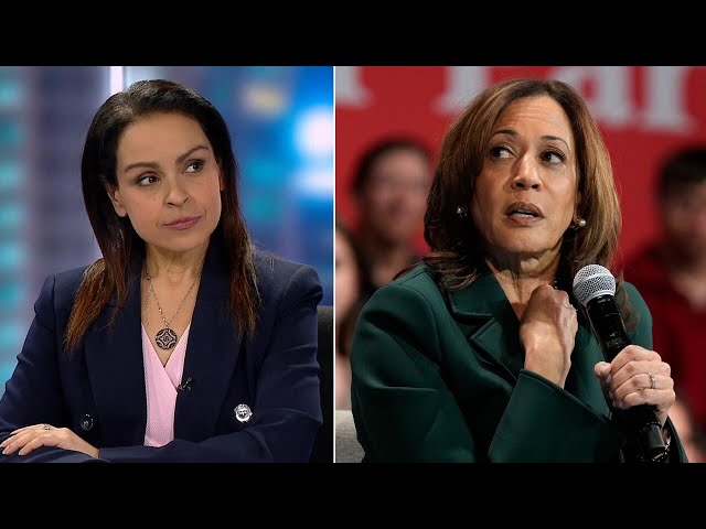 ⁣Lefties losing it: Kamala’s ‘reckless’ and ‘disgusting’ anti-Trump rhetoric