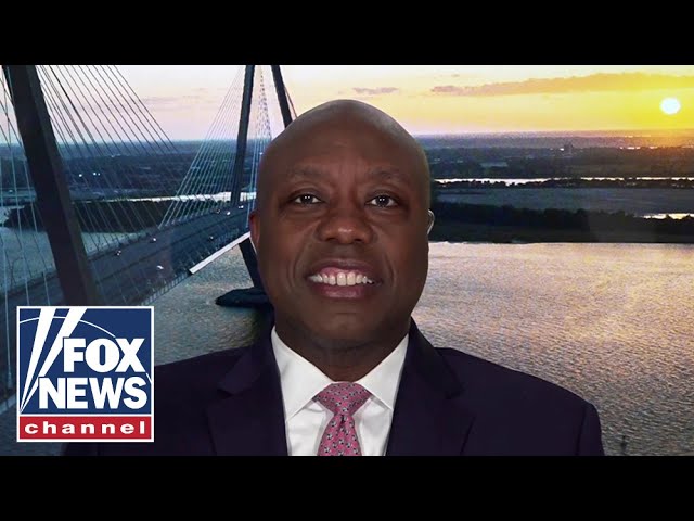 ⁣Sen. Tim Scott: Democrats are losing their minds because they're losing voters