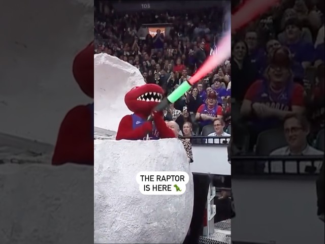 ⁣Toronto Raptors Mascot Hatches From An Egg 