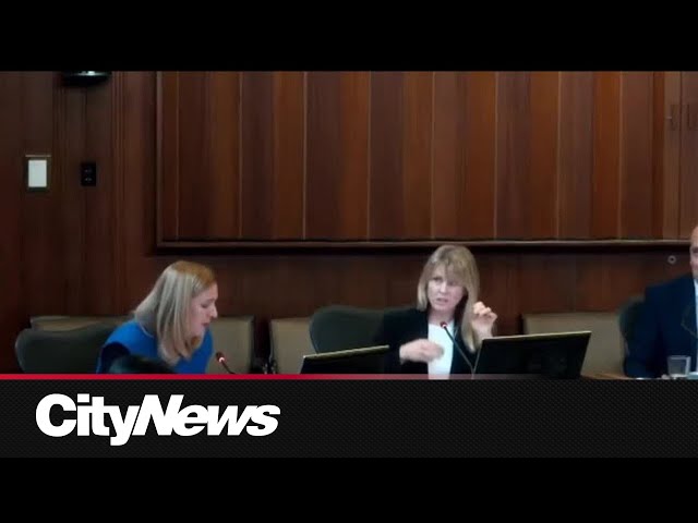 ⁣Tempers flare at Vancouver city council meeting