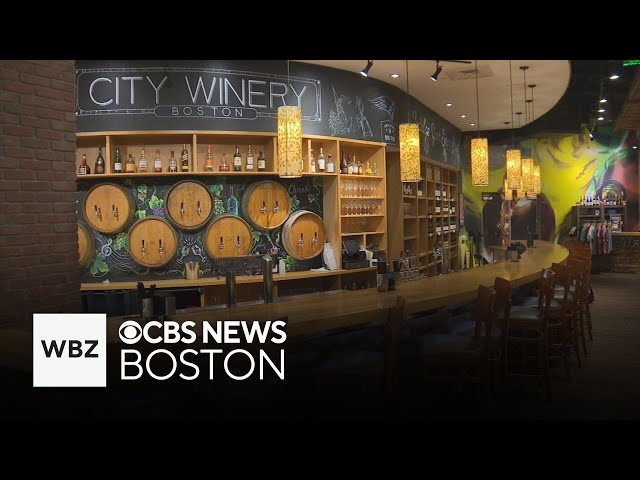 ⁣Exploring how wine is made and tasted at Boston's City Winery