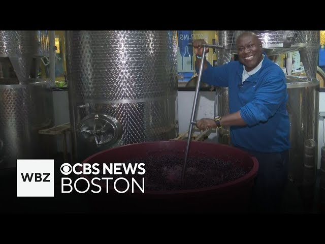 ⁣How wine is made at Boston's City Winery