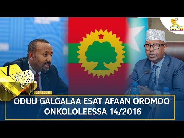 ⁣Ethiopia - ESAT ODUU 24 OCTOBER 2024