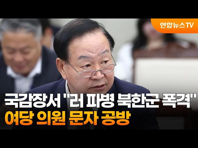 ⁣국감장서 "러 파병 북한군 폭격" 여당 의원 문자 공방 / 연합뉴스TV (YonhapnewsTV)