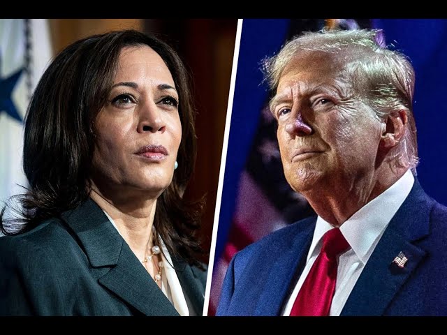 ⁣Donald Trump Vs. Kamala Harris: Conoce los estados indecisos que pueden definir las elecciones