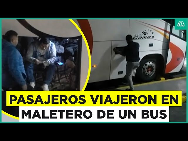 ⁣Bus transportó pasajeros en maletero: Personas estuvieron seis horas ahí