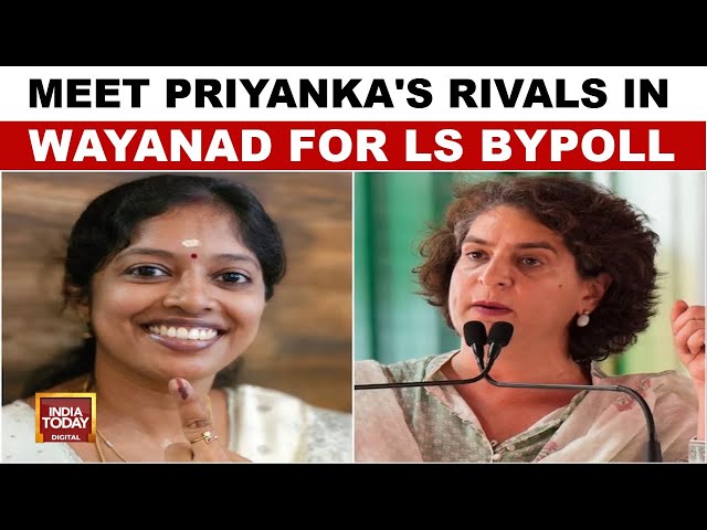 ⁣Meet Priyanka's Rivals In Wayanad For LS bypoll; LDF & BJP candidates Ready To Challenge