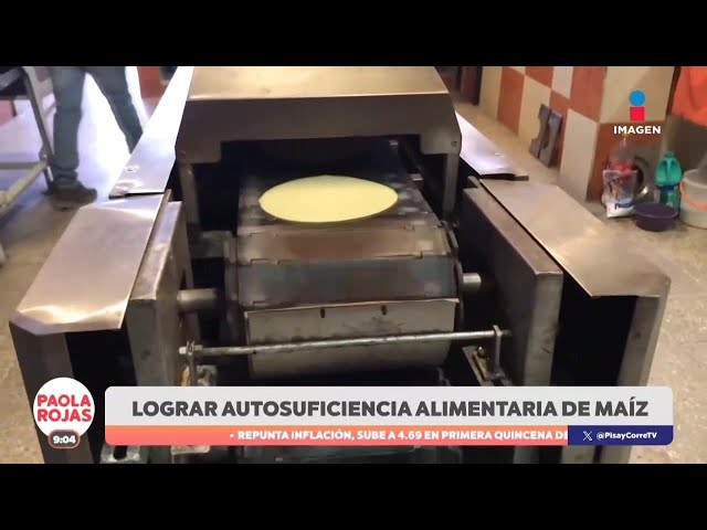 ⁣El Gobierno de México busca reducir 10% el precio de la tortilla | DPC con Paola Rojas