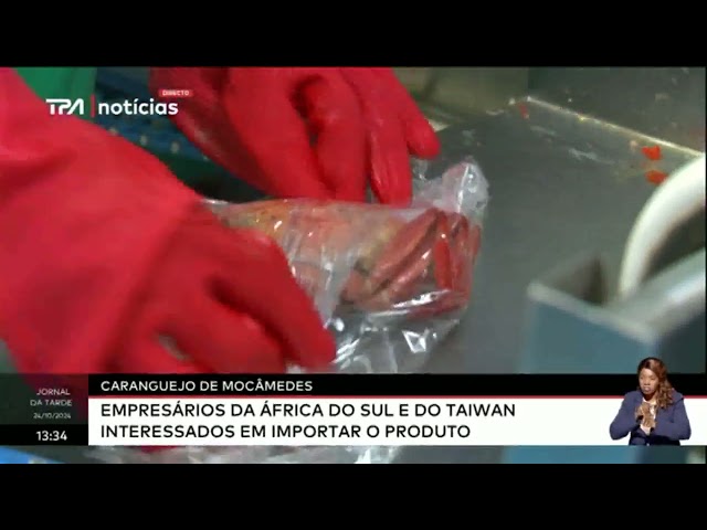 ⁣Caranguejo de Moçamedes empresários da África do Sul e do Taiwan interessados em importar o Produ